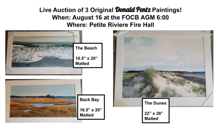 The Beach (16.5” x 20” Matted), Back Bay (16.5” x 20” Matted), The Dunes (22” x 28” Matted)